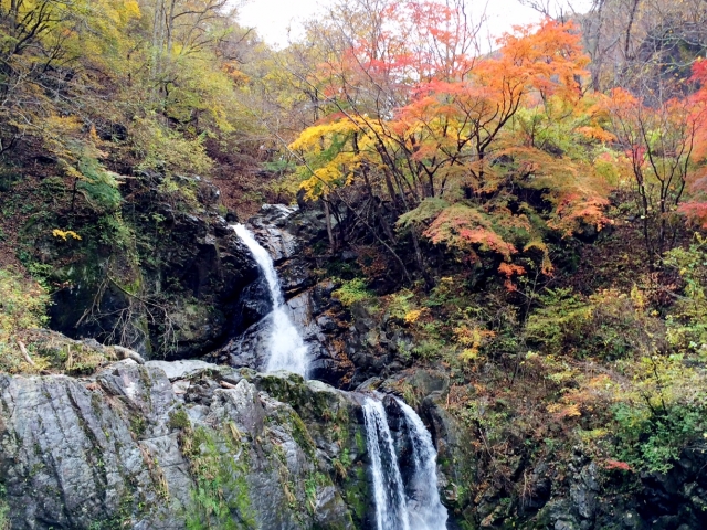 夢學館・上野村現代美術館