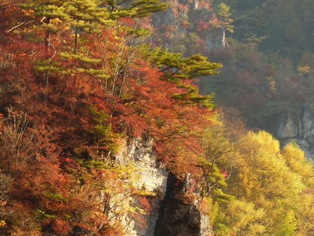 夢學館・上野村現代美術館